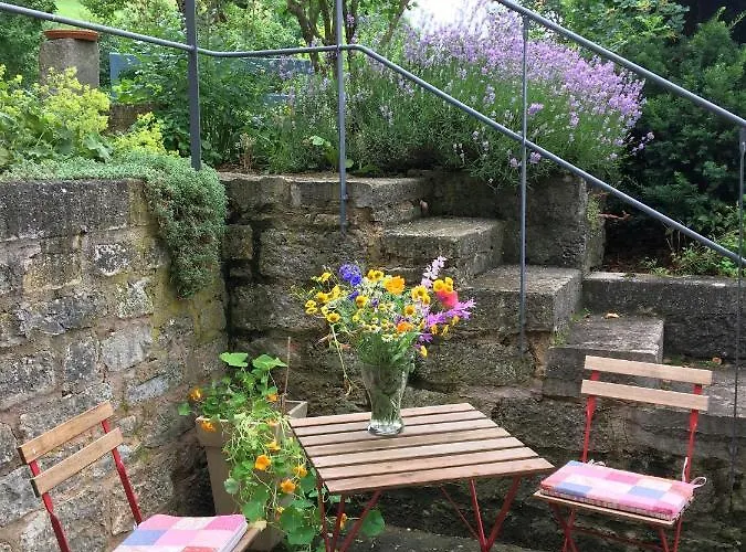 Rose Im Romantischen Taubertal
