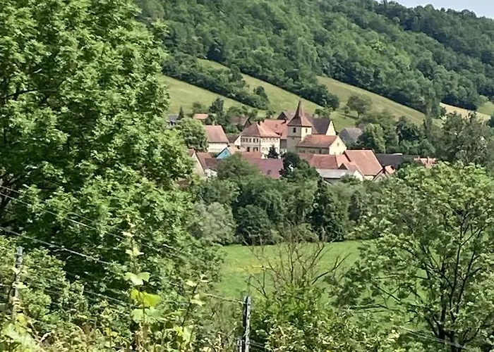 Rose Im Romantischen Taubertal *