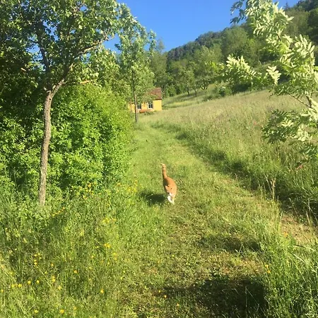 Rose Im Romantischen Taubertal 아파트 *