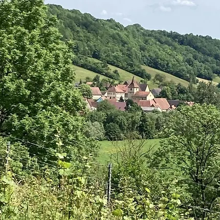 Rose Im Romantischen Taubertal *