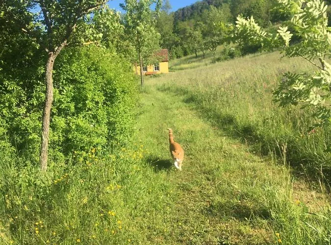 Rose Im Romantischen Taubertal Lejlighed *